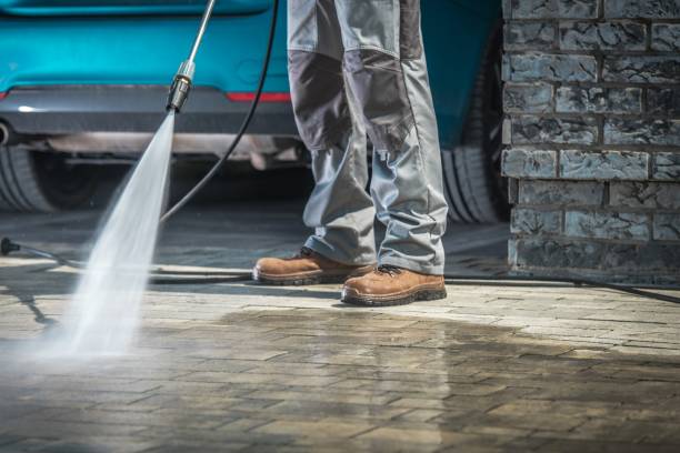 Best Driveway Pressure Washing  in Edinburg, TX